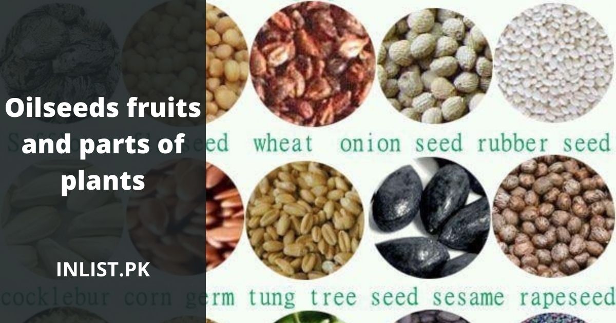 Oilseeds, fruits, and parts of plants in pakistan