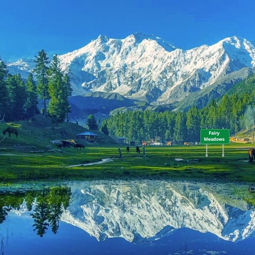 Most Beautiful Places in Pakistan Fairy Meadows